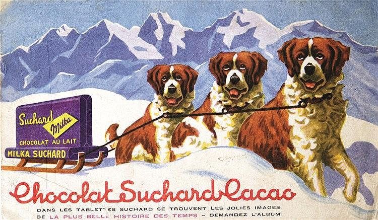 Race de chien du Grand-Saint-Bernard