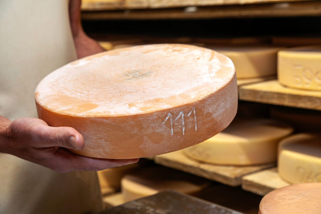 Fromage d’alpage du Valais affiné en cave tenu par un fromager