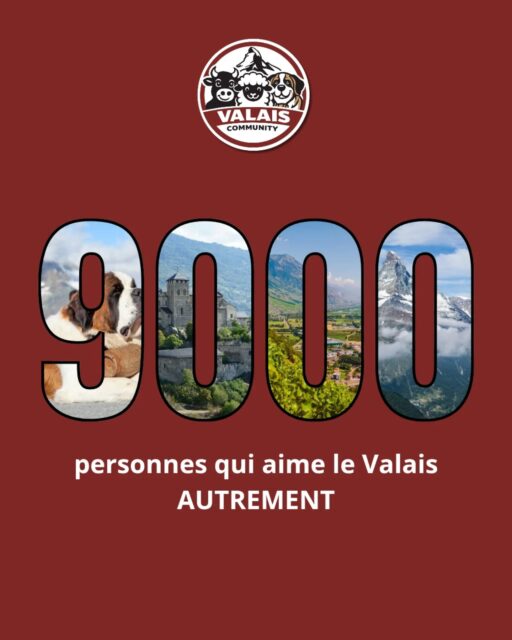 Merci infiniment ! Vous êtes tous formidables 🙌
