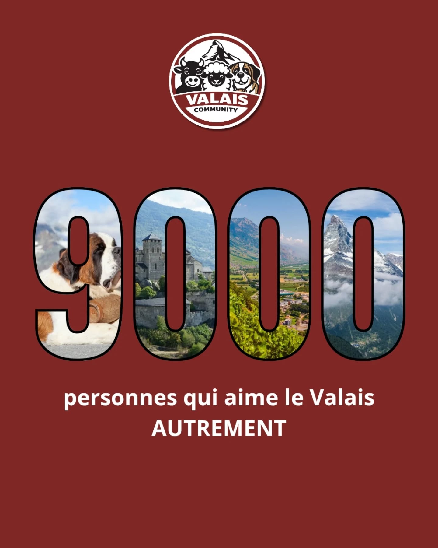 Merci infiniment ! Vous êtes tous formidables 🙌